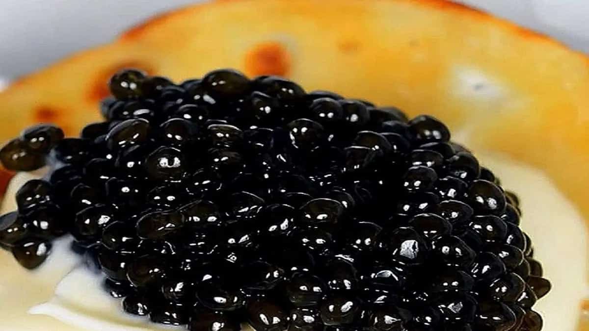 خرید و قیمت خاویار سیاه روسی + قیمت فروش استثنایی